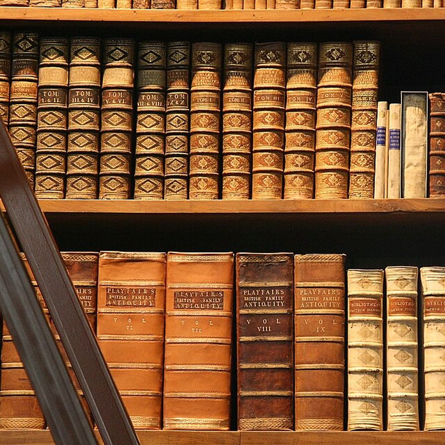 Деревянная книжная полка со старинными книгами